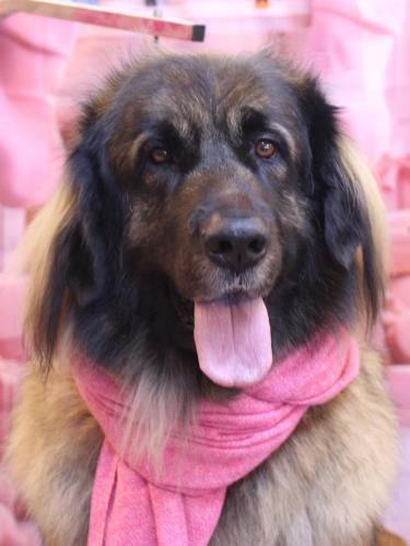 20241224シェリーちゃん